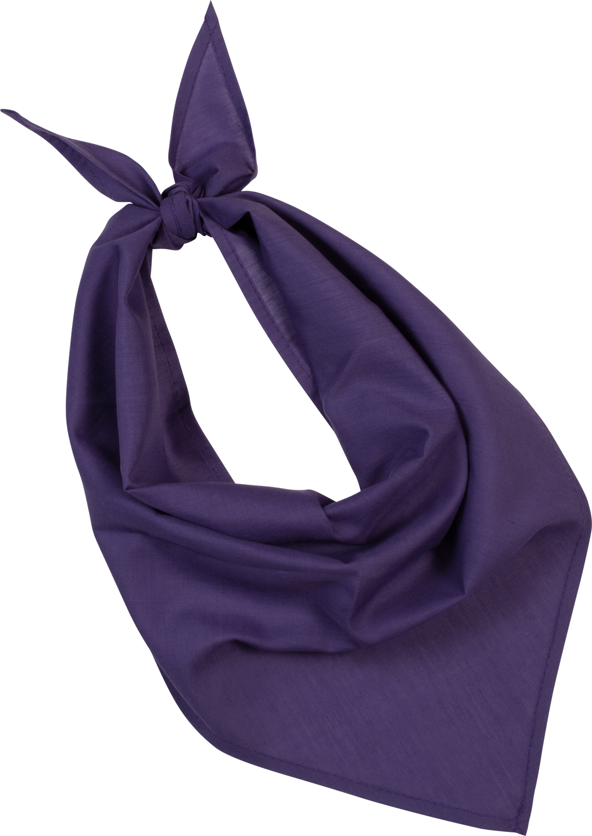 Bandana Unisexe