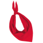 Bandana Unisexe