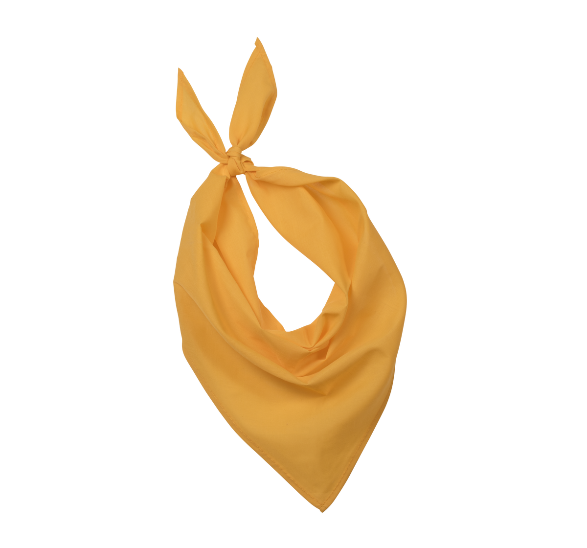 Bandana Unisexe
