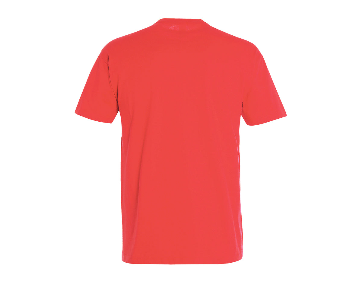 Tee-shirt Sol's Imperial - Col rond - Homme