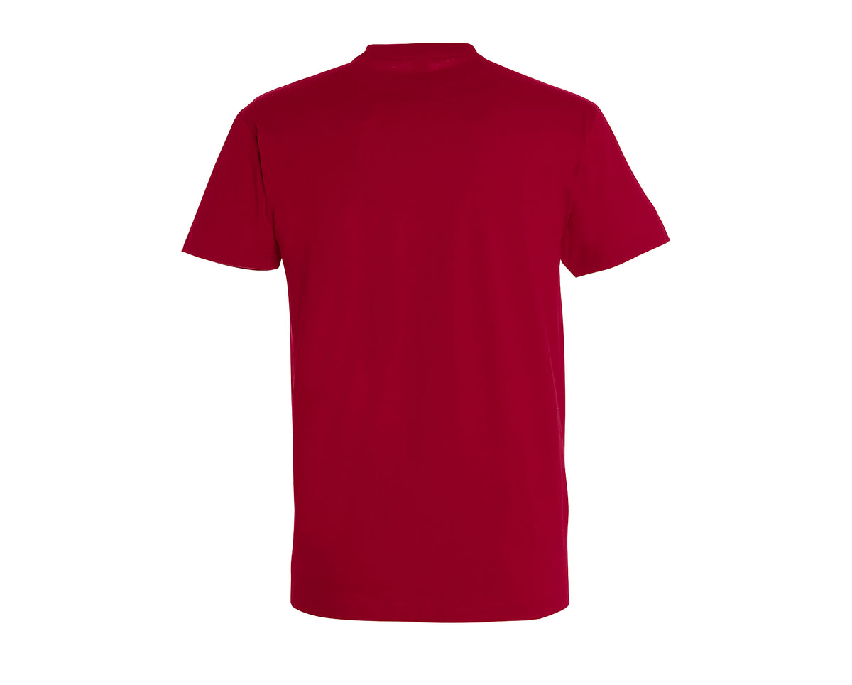Tee-shirt Sol's Imperial - Col rond - Homme